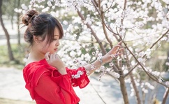 一本大道高清视频在线观看